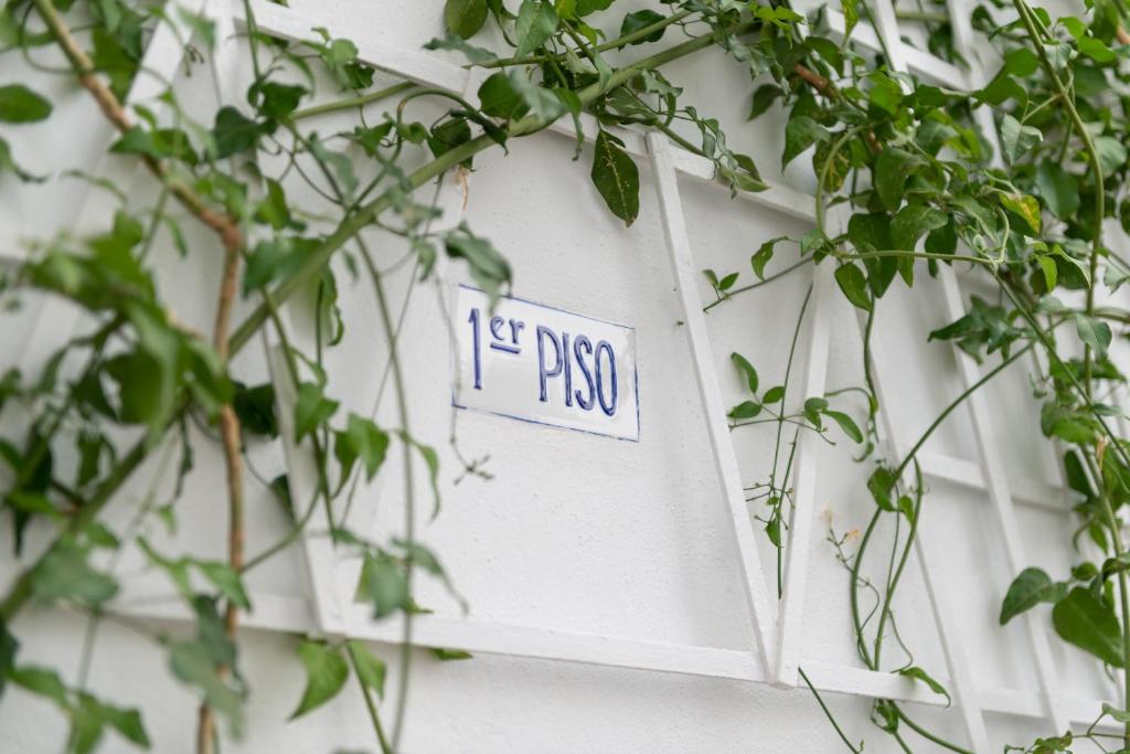 Fotografie z fotogalerie ubytování Hostal Pons v destinaci Palma de Mallorca
