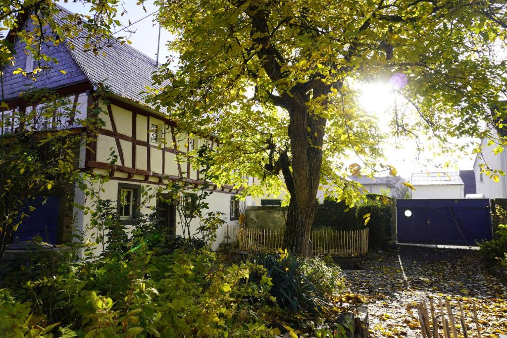 een wit huis met een boom ervoor bij Hedwigs Hexenhäuschen in Kruft
