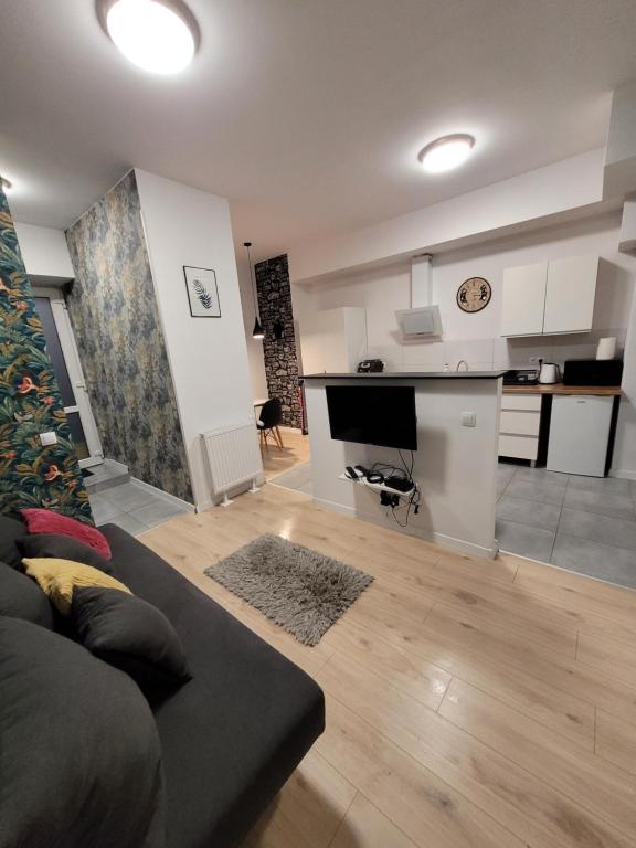ein Wohnzimmer mit einem Sofa und einer Küche in der Unterkunft Apartamenty Cieplicka 20 in Jelenia Góra