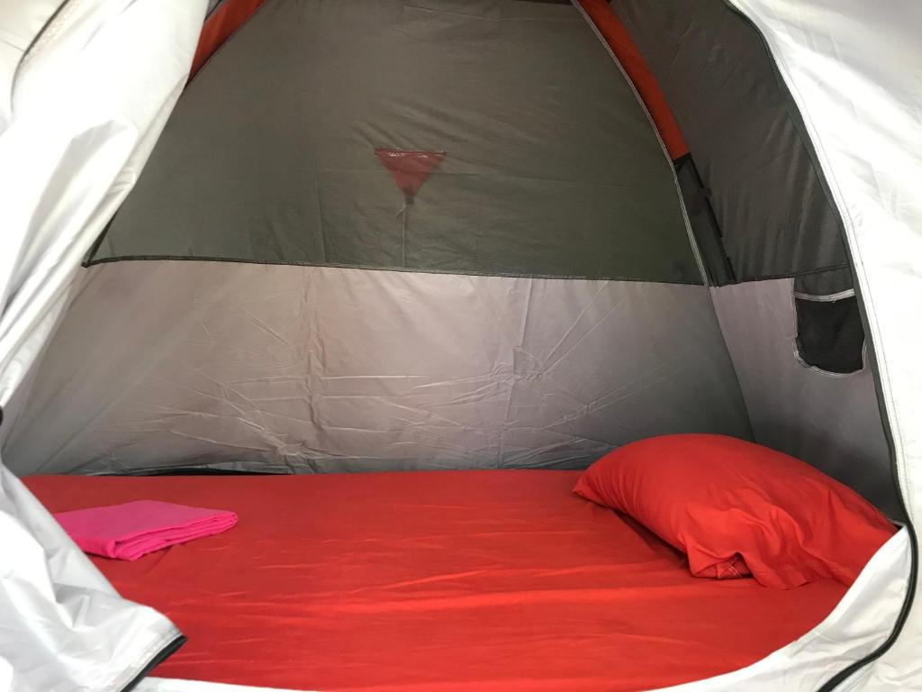 Postel nebo postele na pokoji v ubytování Chavez Eco Beach Camping and Cabañas