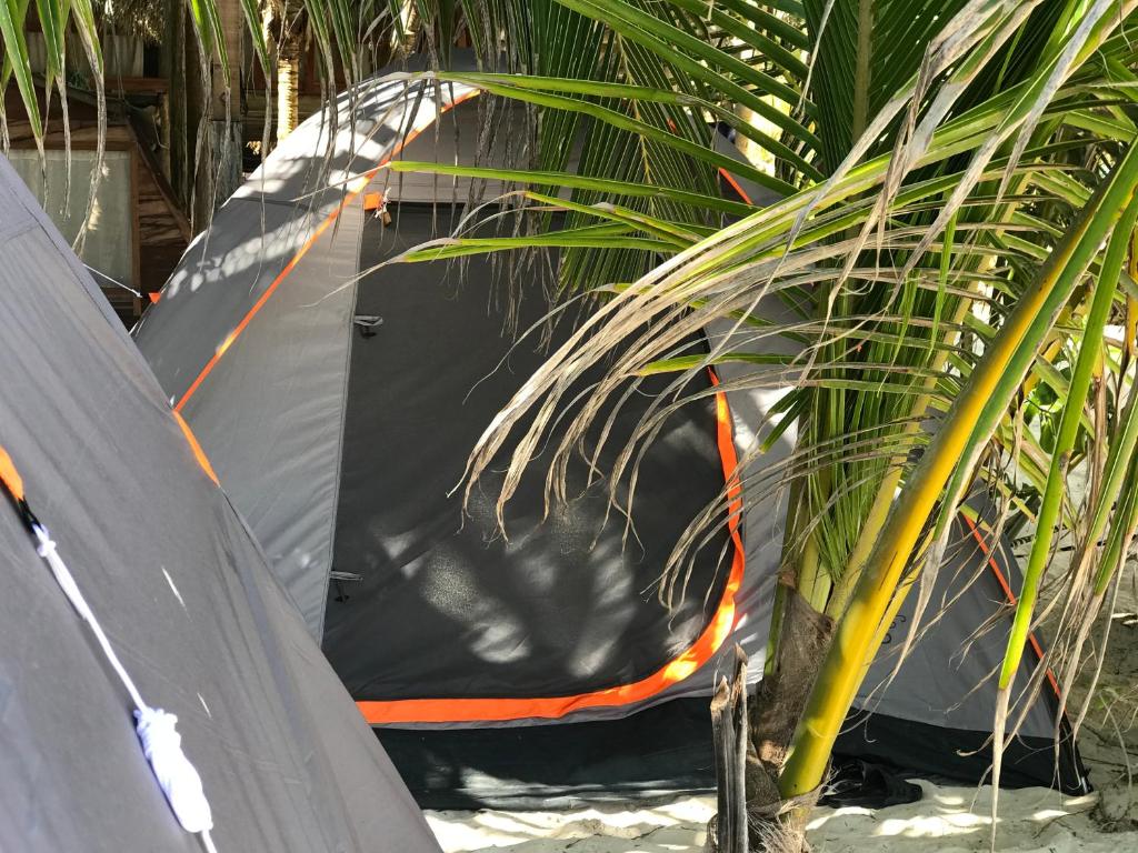 Fotografie z fotogalerie ubytování Chavez Eco Beach Camping and Cabañas v destinaci Tulum