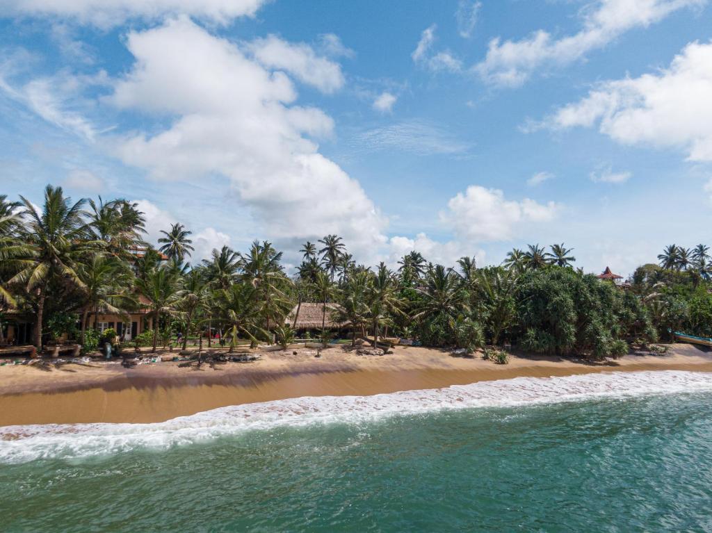 THE SLOW vegan hotel - 3