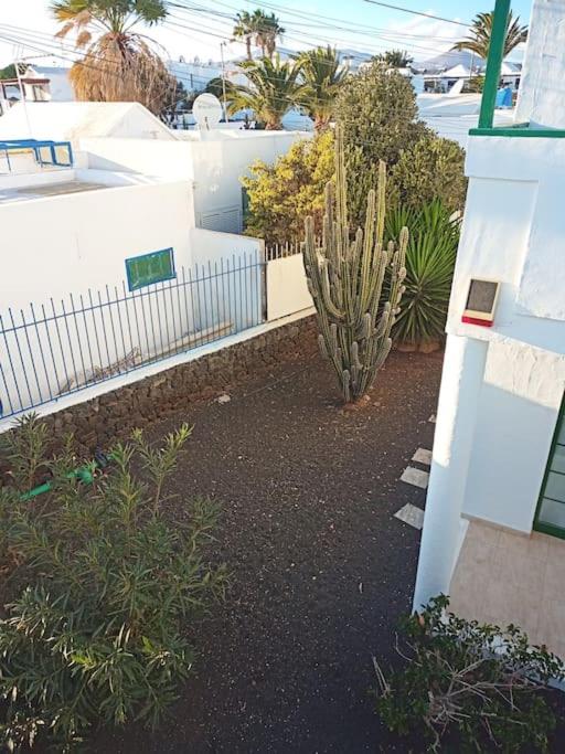 Vonkajšia záhrada v ubytovaní Casa Su Lanzarote