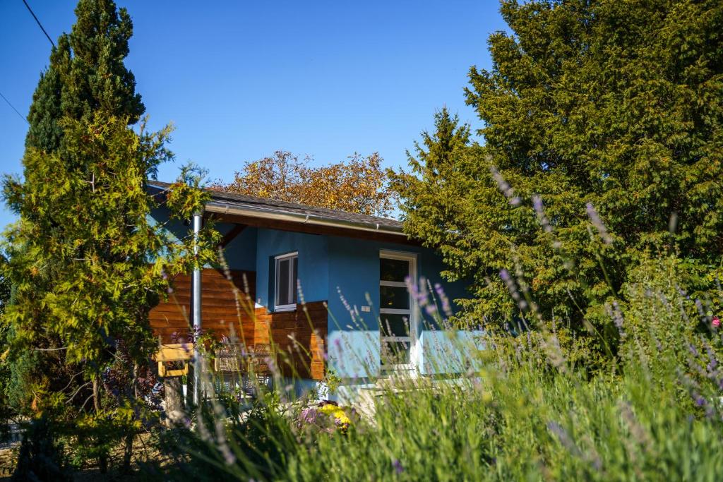 una casa azul con árboles delante de ella en TIRAMISU Vendégház, en Csókakő