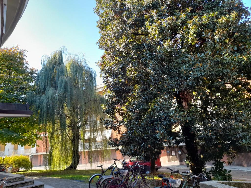 Zahrada ubytování CASA DI SOLE Appartamento a Crema