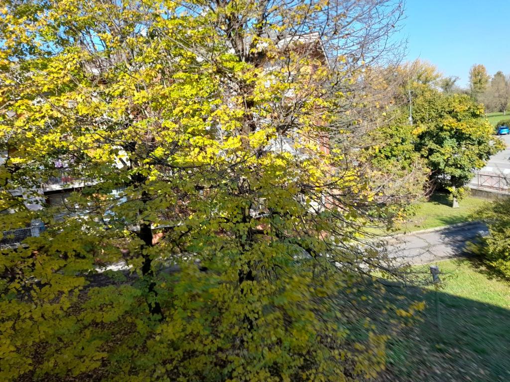 Zahrada ubytování CASA DI SOLE Appartamento a Crema