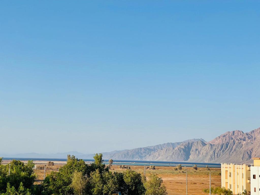 Swiss Royal DAHAB - 17