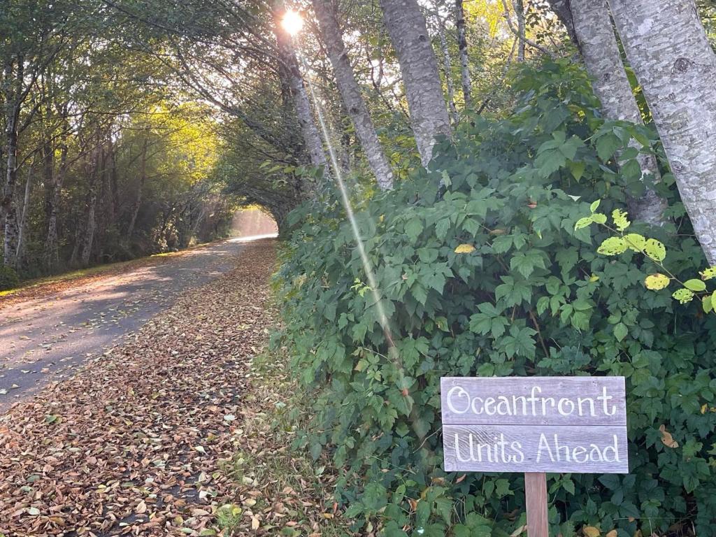 a sign on the side of a road with trees at Arena del Mar in Grayland