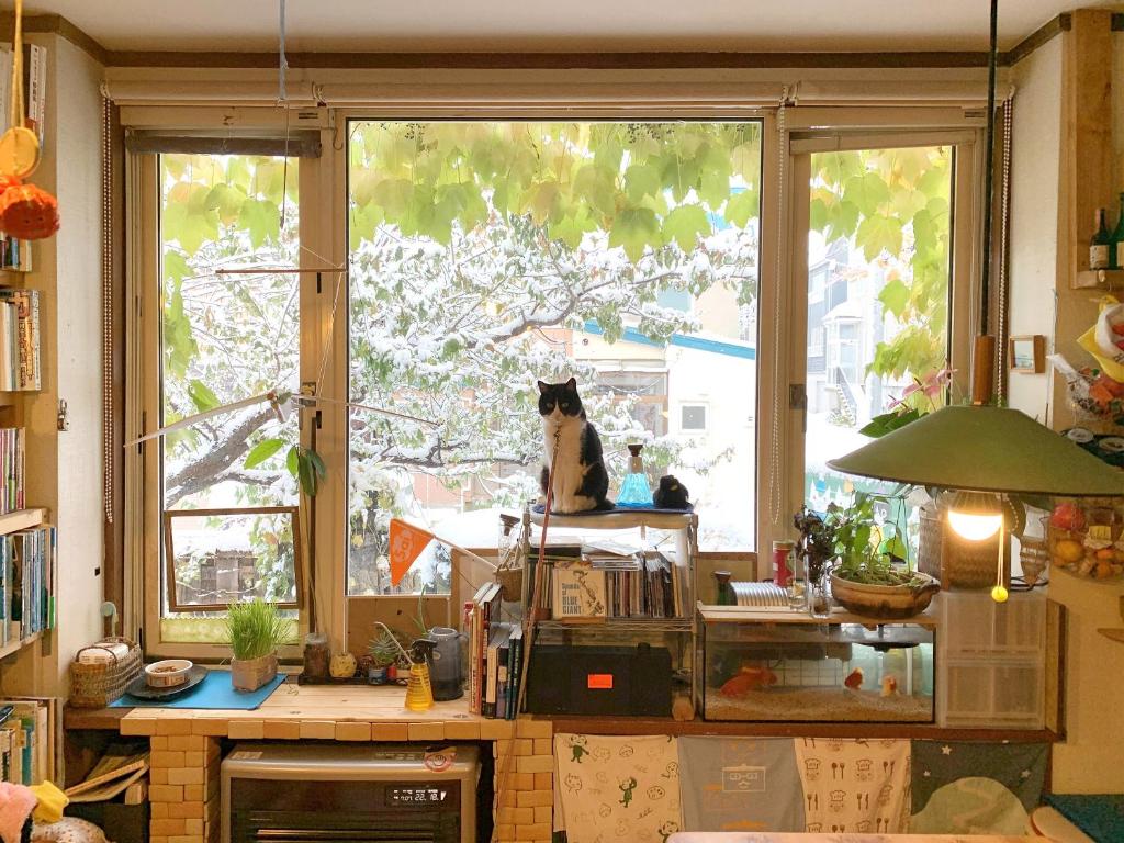 Fotografie z fotogalerie ubytování The Otaornai Backpacker's Hostel Morinoki v destinaci Otaru