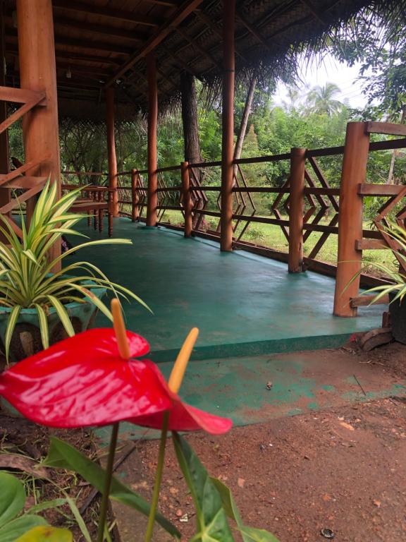 Fotografie z fotogalerie ubytování Sigiri Lion Eco Palace v destinaci Sigiriya