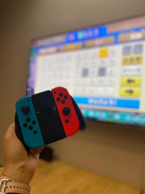 TV a/nebo společenská místnost v ubytování Ixyz別邸 月夜見の宿