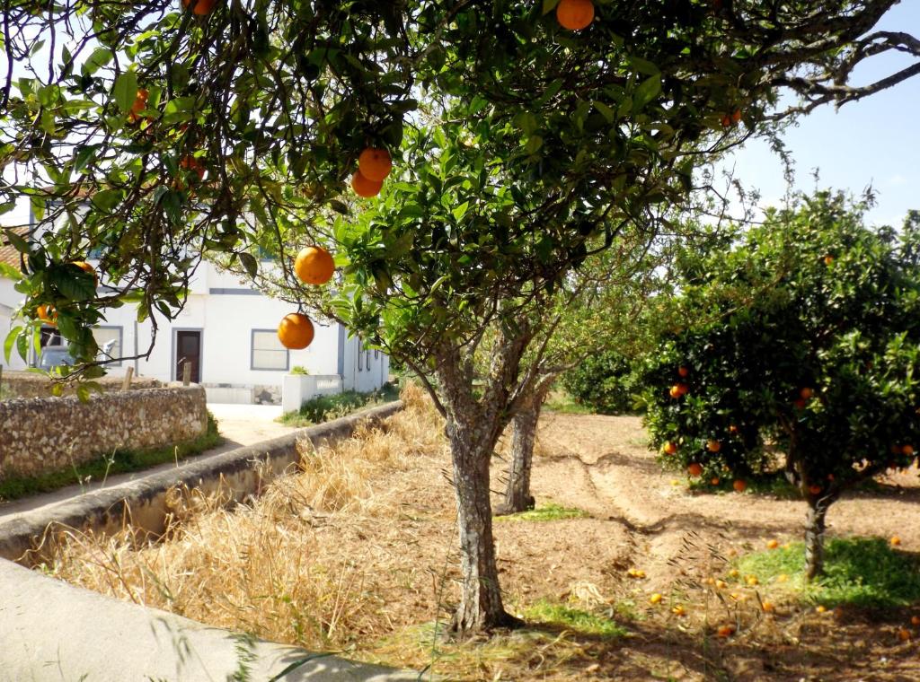 Casas do Pomar
