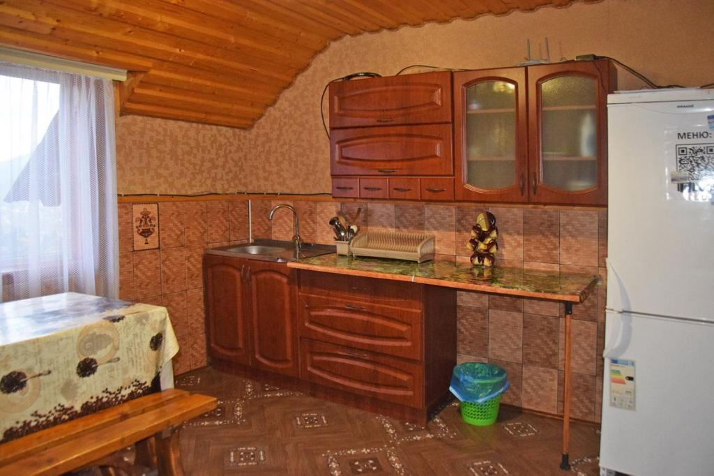 Kuchyň nebo kuchyňský kout v ubytování Гірська вершина