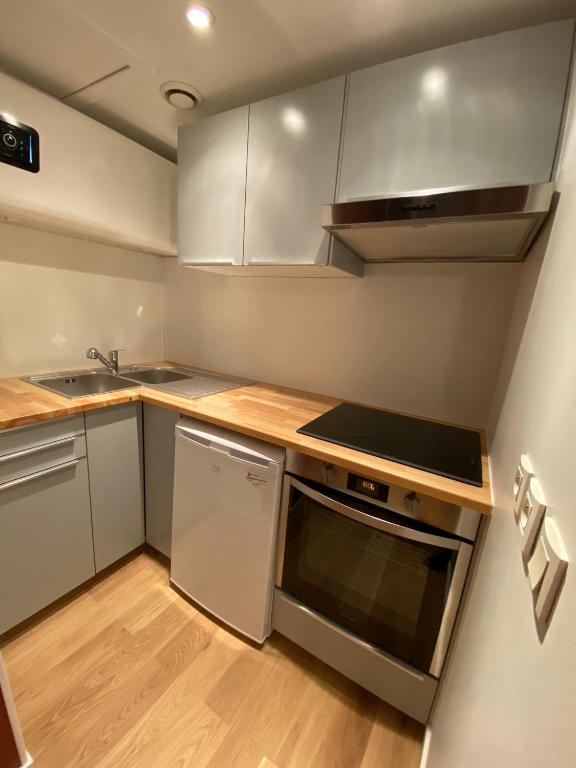Kuchyň nebo kuchyňský kout v ubytování Home Sevrier