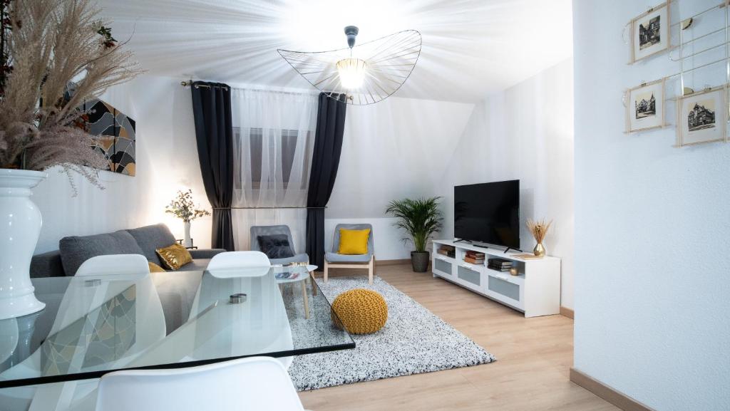 Superbe appartement au coeur du Colmar - 2