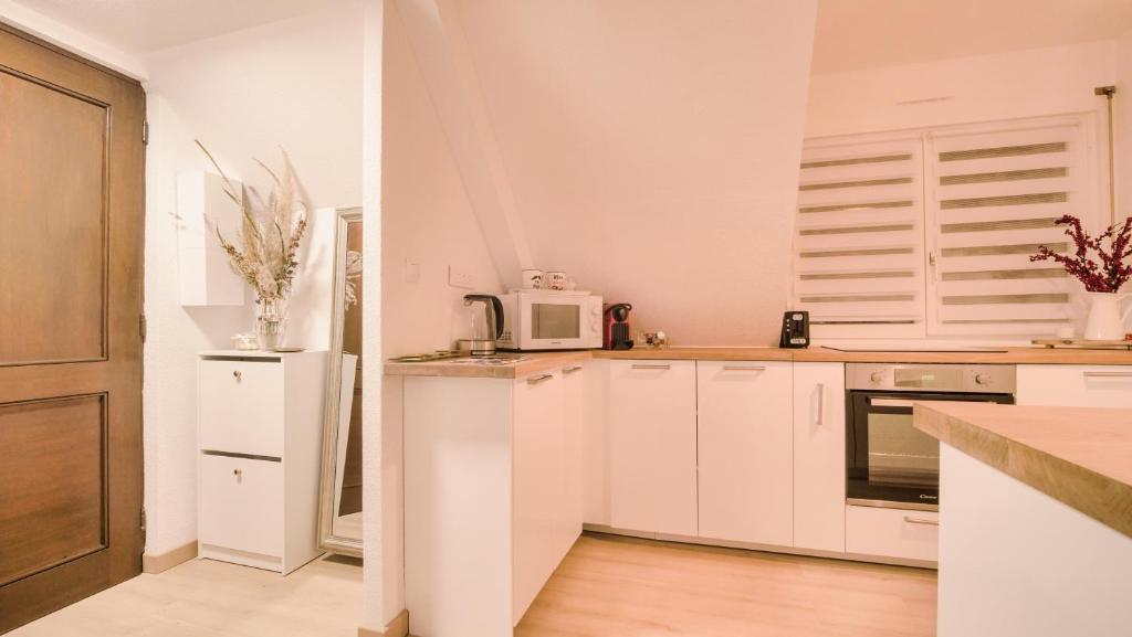 Superbe appartement au coeur du Colmar - 11