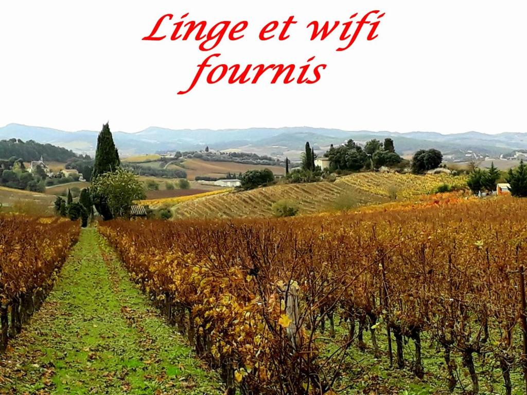 uma vinha nas colinas com as palavras live et wifi juntas em La Languedocienne appartement climatisé centre ville wifi inclus em Limoux