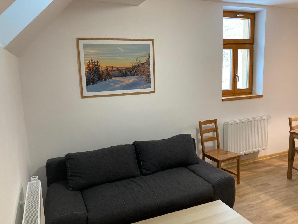 Posezení v ubytování Šedivinské apartmány - rodinné apartmány v Orlických horách