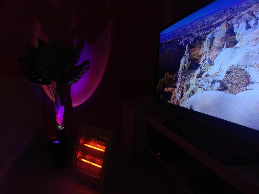 TV a/nebo společenská místnost v ubytování Spring Light