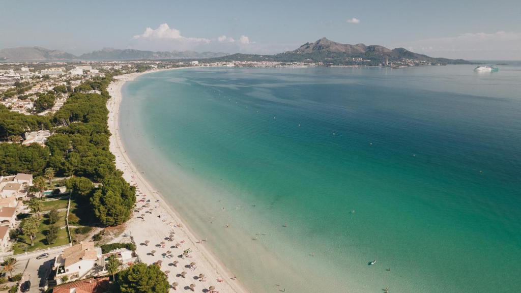 Hotel Ivory Playa Sports & Spa, Port d'Alcudia – Updated 2023 Prices