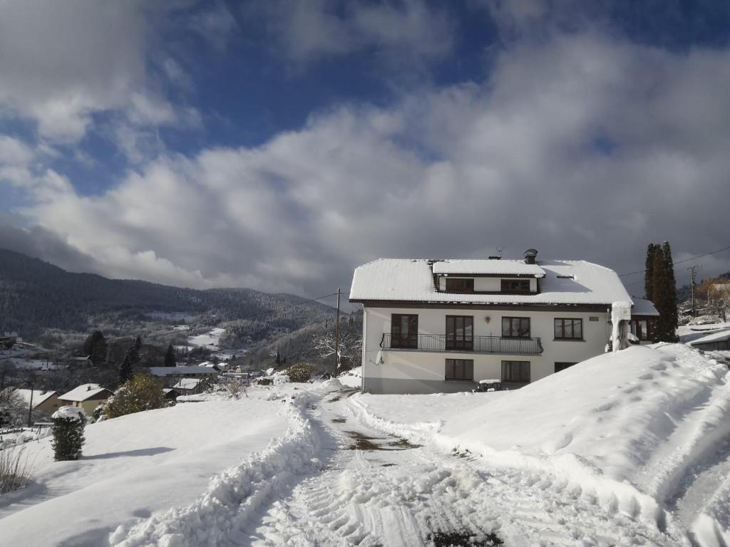 サン・モーリス・シュル・モセルにあるGîte de famille dans les Vosgesの雪道被覆建築