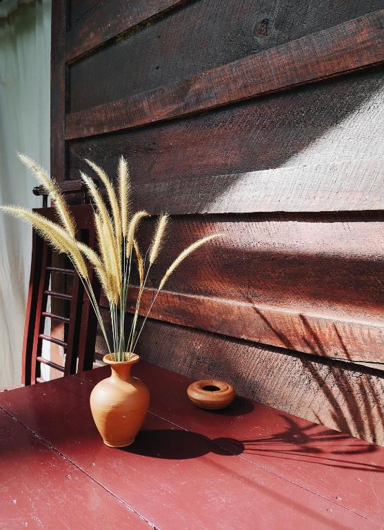 Fotografie z fotogalerie ubytování Bird House Mirissa v Mirisse (jih)