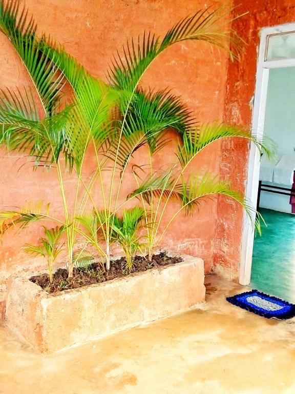 Fotografie z fotogalerie ubytování Rithu Homestay v destinaci Sigiriya