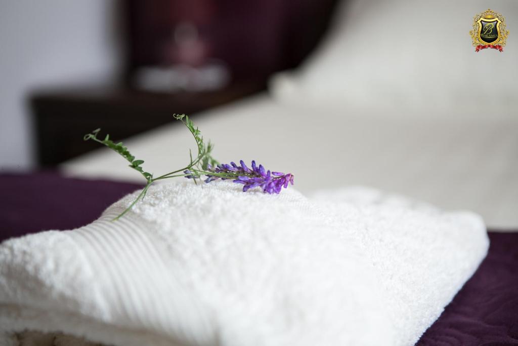 Rezydencja Bakamus - 6