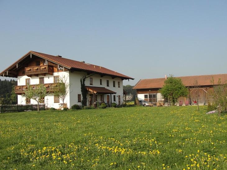 una casa in un prato verde con fiori gialli di Wagner-Schneider-Hof a Chieming