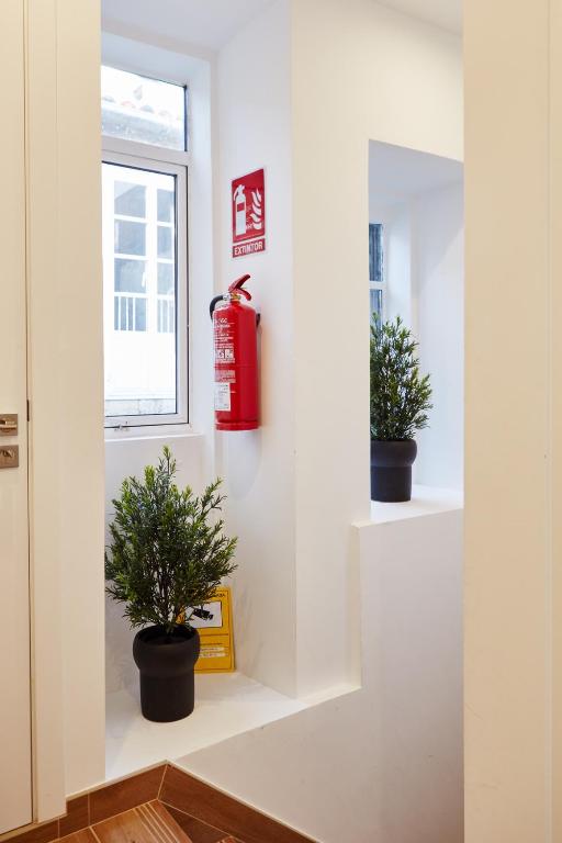 Fotografia z galérie ubytovania Apartamentos Orfas v destinácii Santiago de Compostela