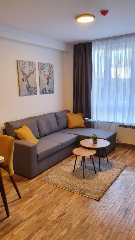 uma sala de estar com um sofá e uma mesa em Relax apartment Koaponik em Kopaonik