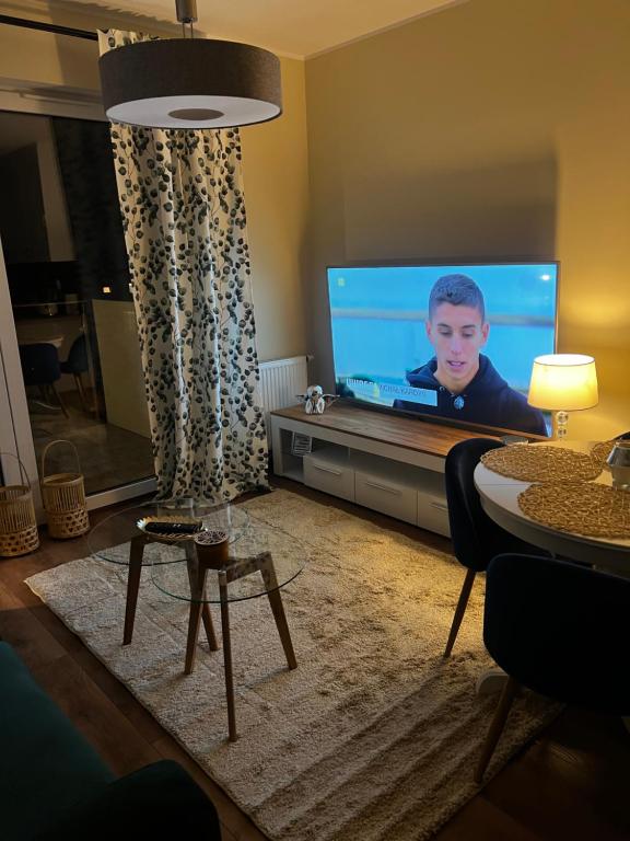una sala de estar con TV con un niño en la pantalla en Apartament Sadowa 87 Garaż gratis ! en Elblag