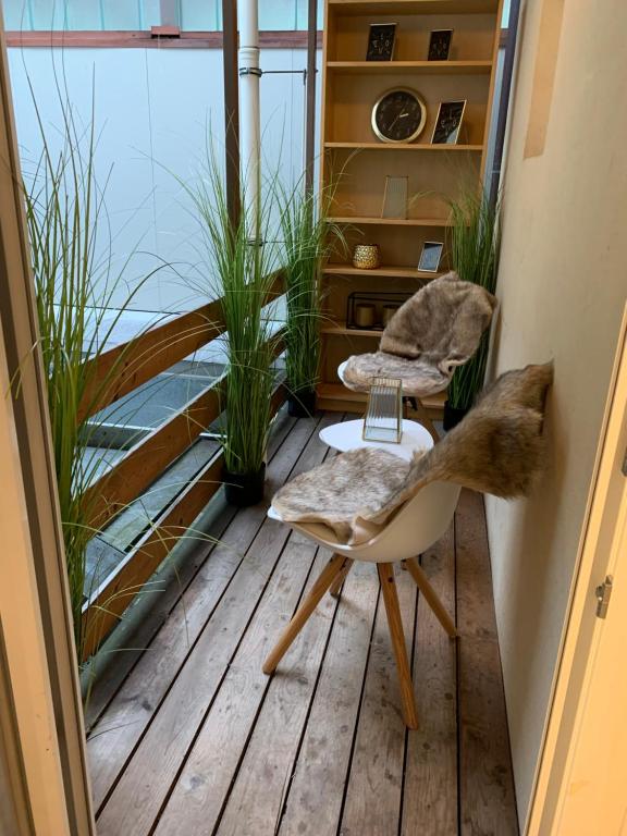 Příroda nedaleko apartmánu