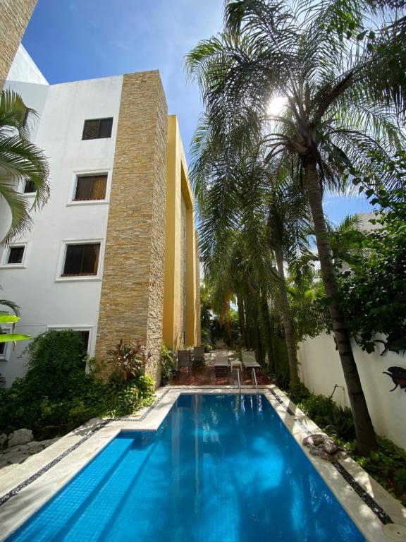 a swimming pool in front of a building with palm trees at Hotel Las Golondrinas in Playa del Carmen