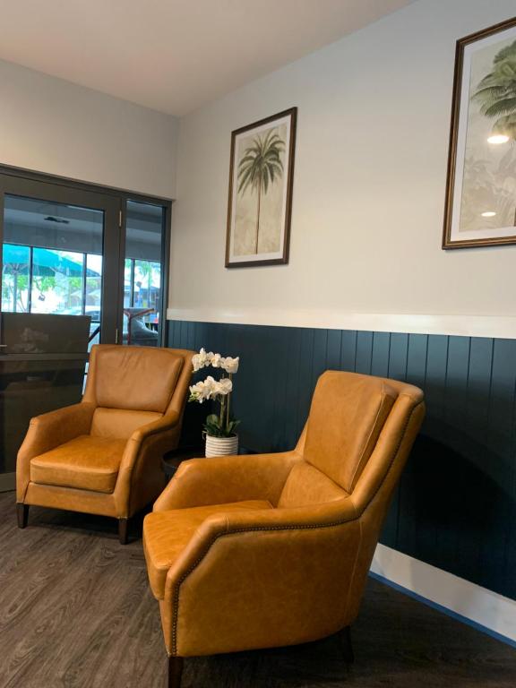 The Palmer Collective - Resim 18