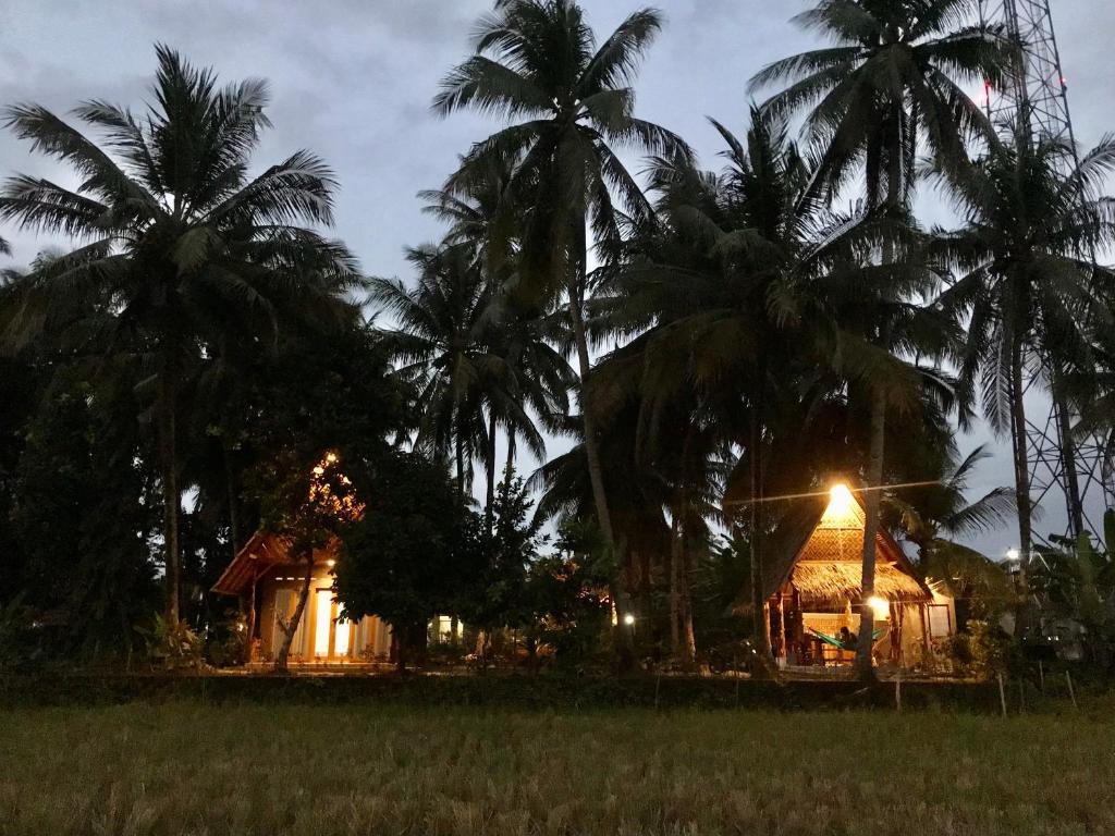a house in a field with palm trees at night at Saung Rancage Batukaras in Pangandaran