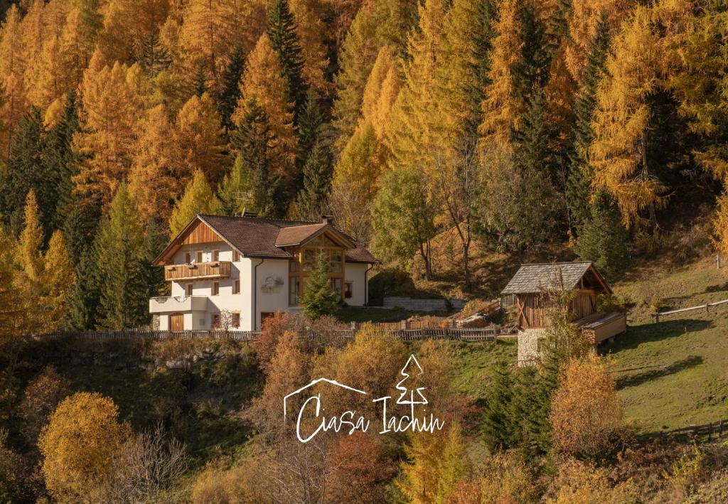 una casa en medio de una montaña en Ciasa Iachin Mountain Apartment en San Martino in Badia
