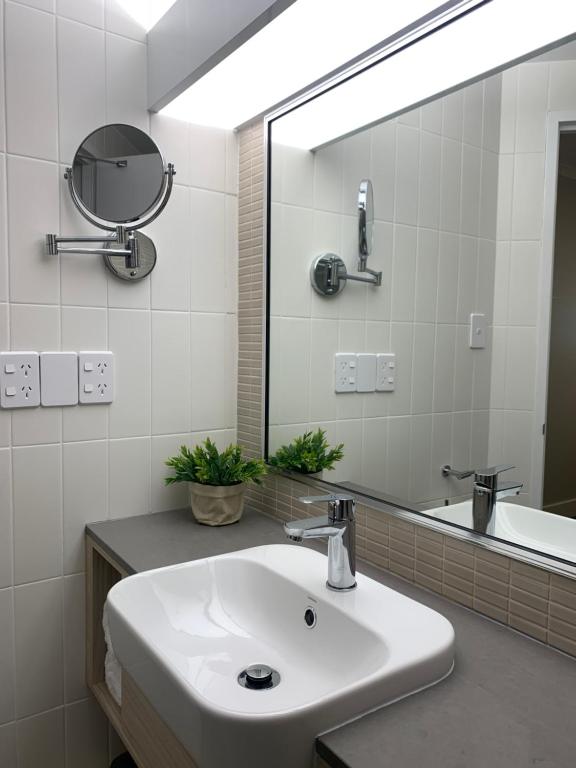 The Palmer Collective - Resim 15