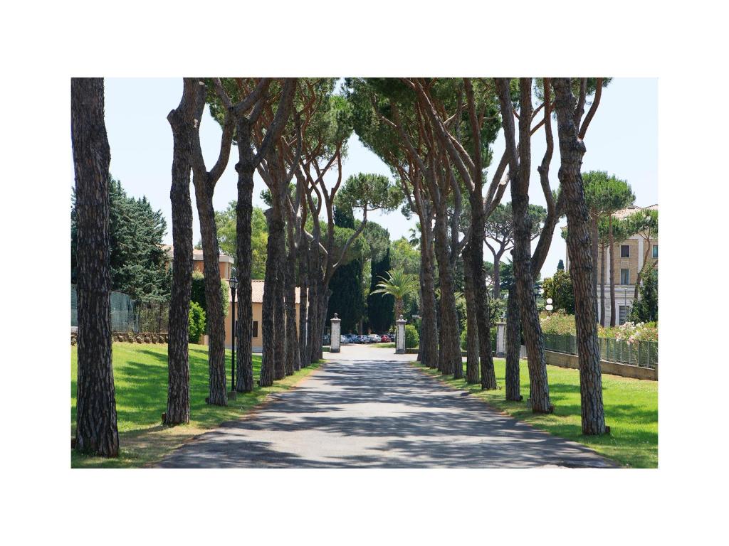 TH Roma - Carpegna Palace - Resim 43