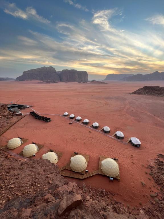 un grupo de ovejas yaciendo en el desierto en Wadi Rum Bedouin Camp, en Wadi Rum