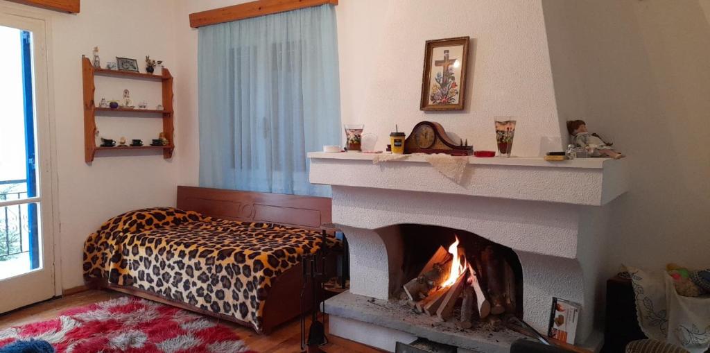 a bedroom with a fire place in a fireplace at Aetofolia Melissourgoi in Melissourgoi