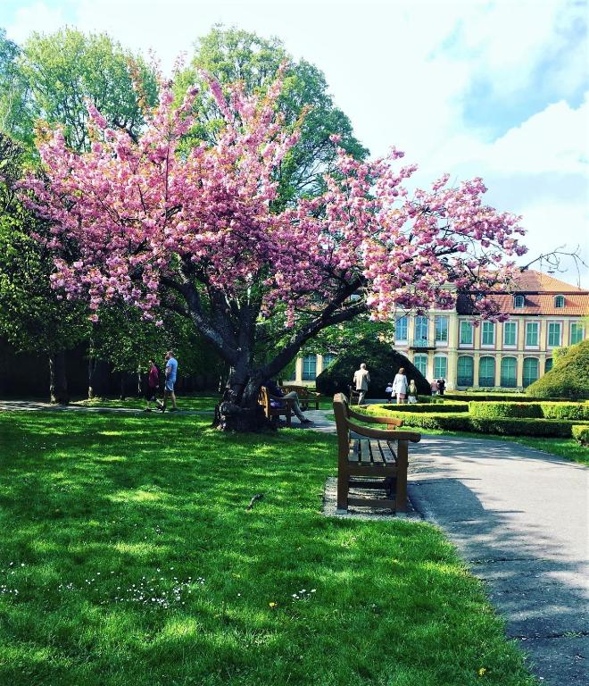 Zahrada ubytování Oliwa Park Residence