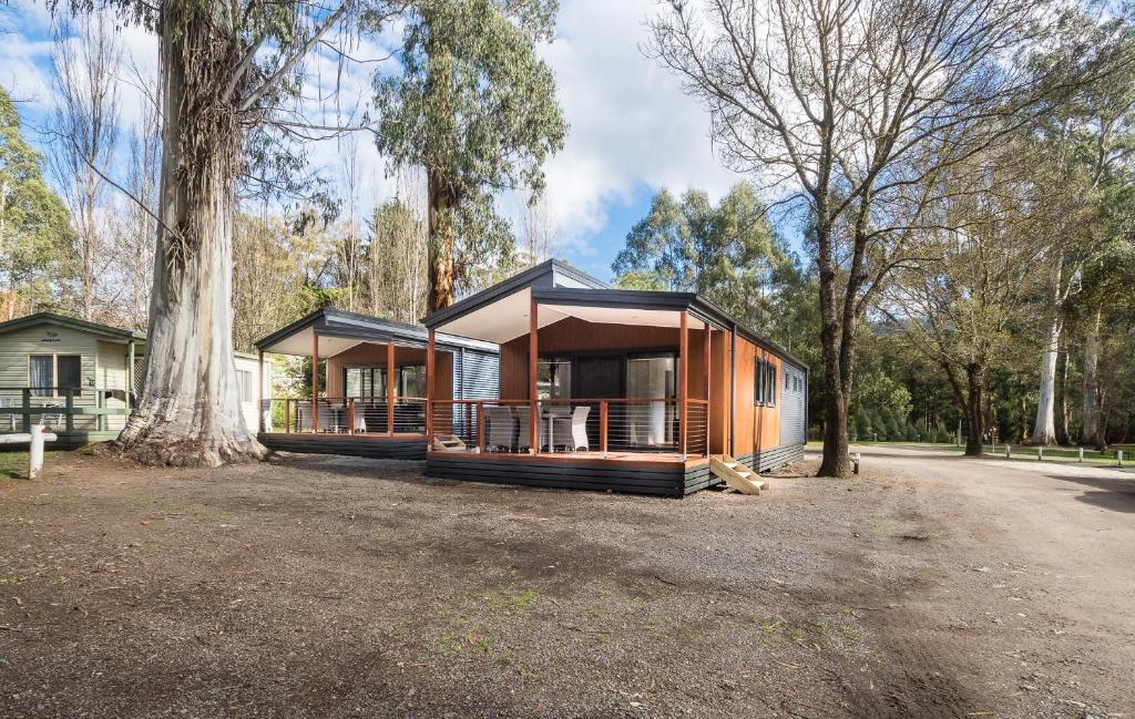 eine Hütte im Wald mit einem Baum in der Unterkunft Marysville Holiday Park in Marysville