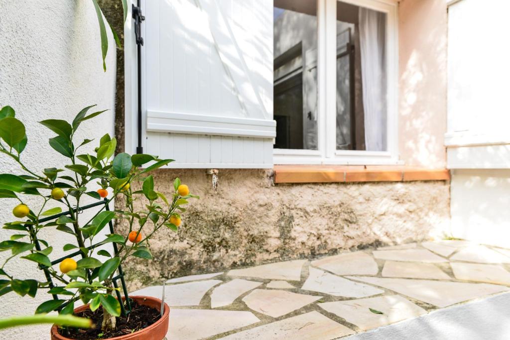 an orange tree in a pot in front of a window at L’appartement - Jardin Secret in Marseille