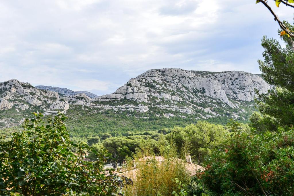 a view of the mountains from the forest at L’appartement - Jardin Secret in Marseille