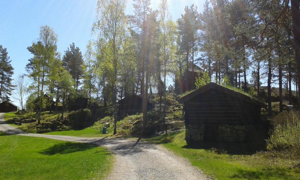 Příroda nedaleko hostelu