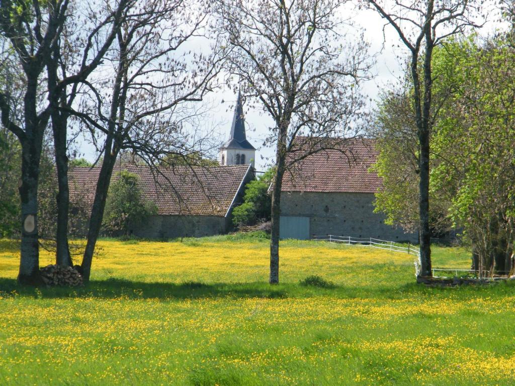 Zahrada ubytování Datcha Bourguignonne, Chambres & Gîte