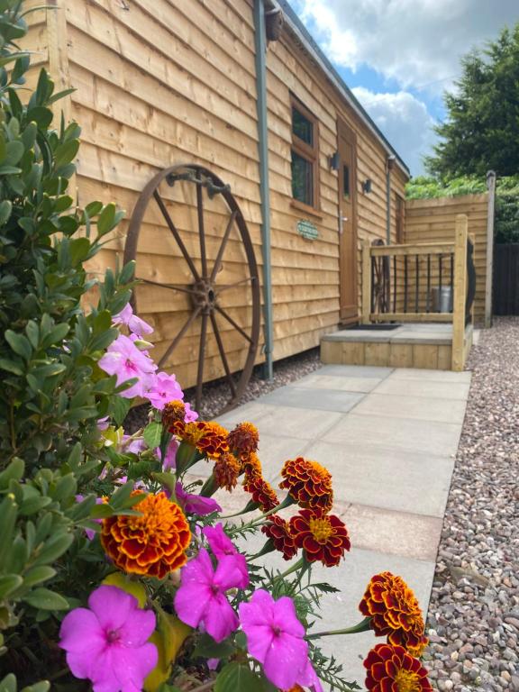 a group of flowers in front of a wooden building at Ye Old Tack Room in Stafford