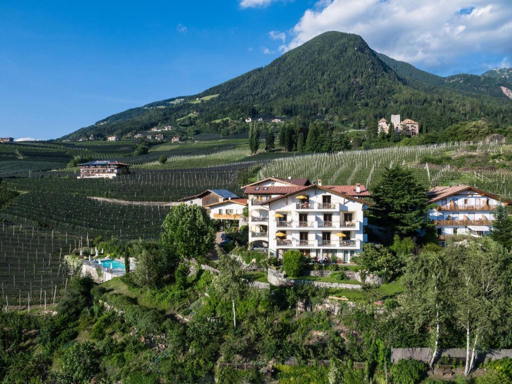 a hotel in a vineyard with a mountain in the background at Residence Boutique Sonne in Schenna