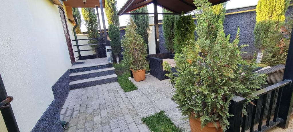 Zahrada ubytování Hotel Emocia